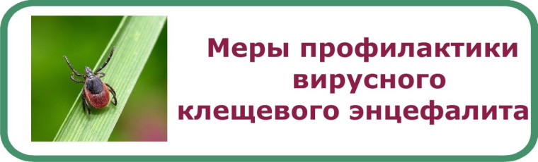 Памятка по профилактике клещевого энцефалита.